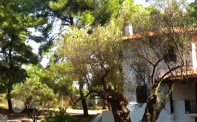 4-Bedroom Villa with Sea View in Ormylia, Halkidiki, photo 2