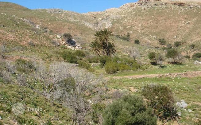 110,000 m² Land Plot in Kissamos, Crete, photo 3