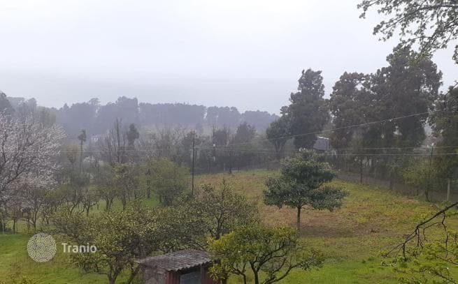 Land Plot with Sea View in Tskhilkitskhi, Adjara, photo 2