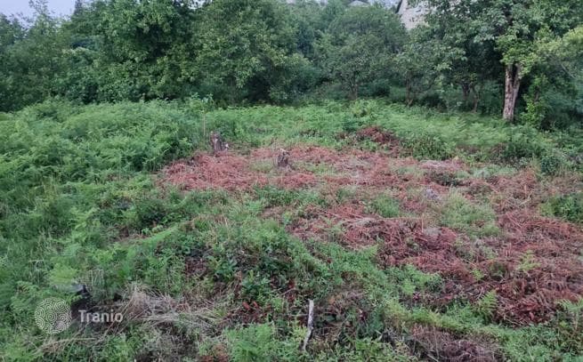 Land Plot with Sea and Mountain Views in Tskhisudziri, Adjara, photo 3