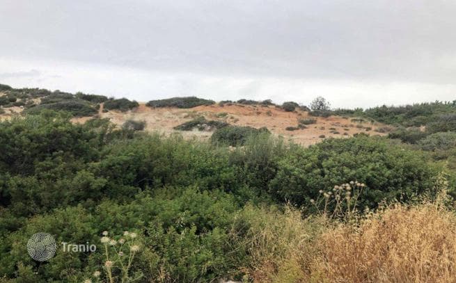 Land Plot in Paphos, Cyprus