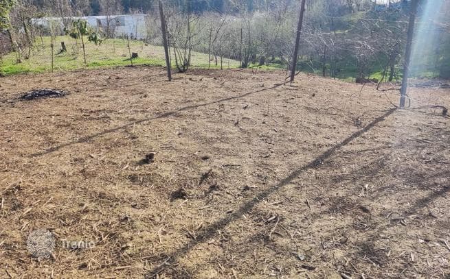 Land Plot with Mountain View in Chakvi, photo 3