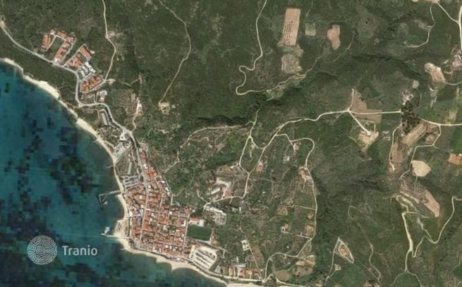 Land Plot with Olive Grove and Sea Views in Mount Athos, Halkidiki, photo 5