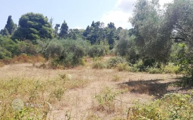 Land Plot with Sea and Mountain Views in Kassandra, Greece, photo 2