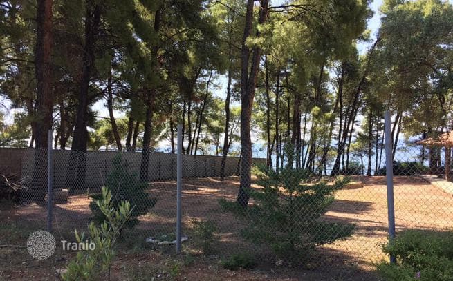 Land Plot in Ormylia, Greece, photo 5