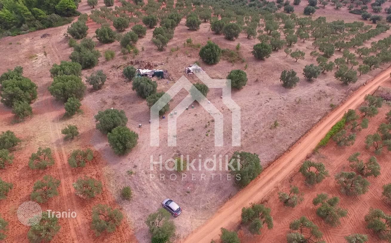 Land Plot in Nikiti, Greece