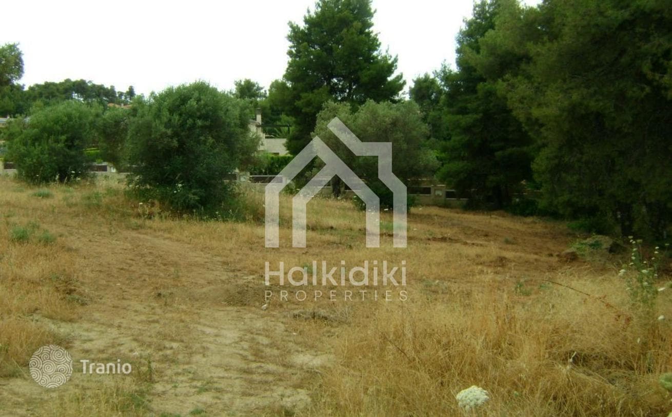 Land Plot with Forest and Beach in Kassandra, Greece, photo 5