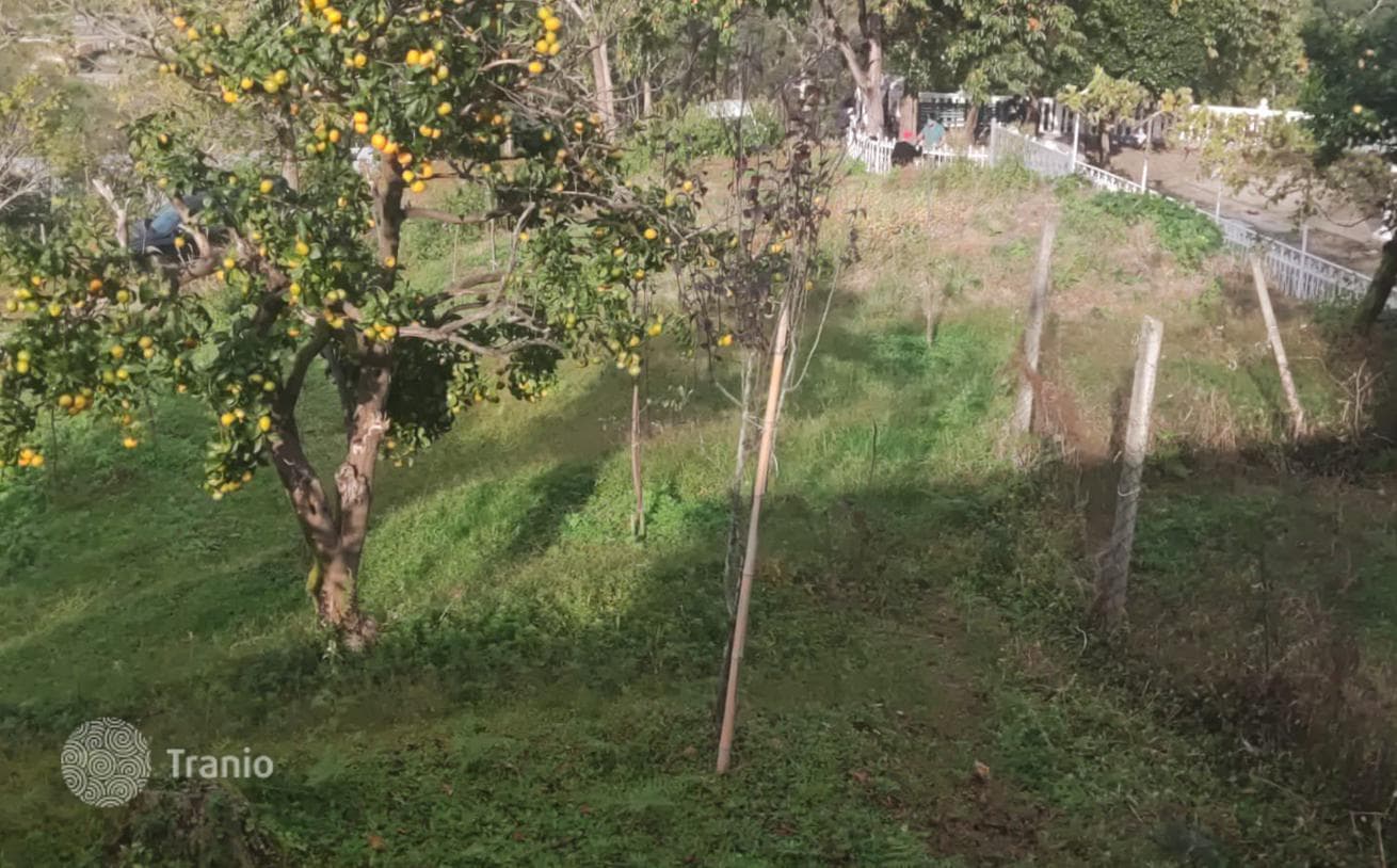 Land Plot with Sea and Mountain Views near Batumi, Chakvi, photo 3