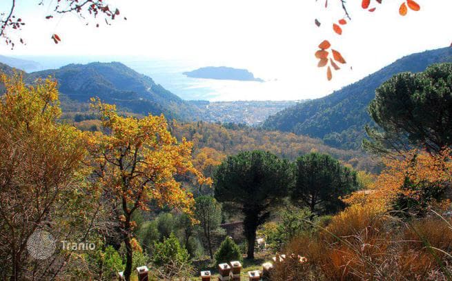 Земельный участок с панорамными видами, Марковичи, Будва, Черногория, фото 2
