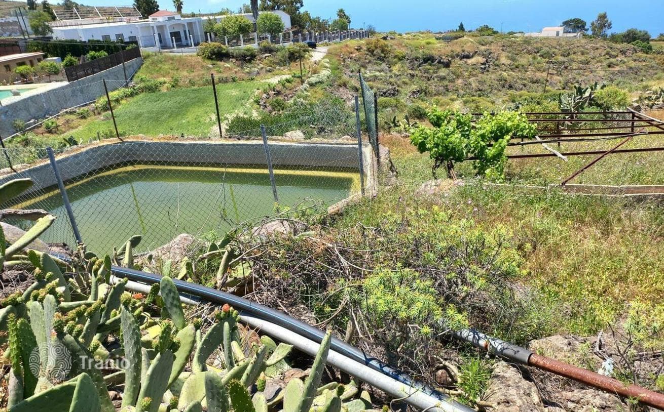 Agricultural Land Plot in Adeje, Tenerife, photo 4