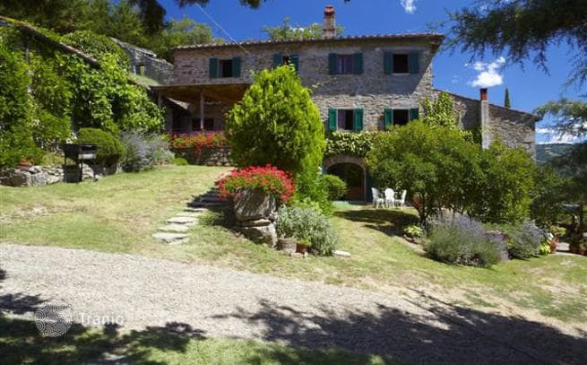 Restored Tuscan House with Pool and Olive Grove near Florence