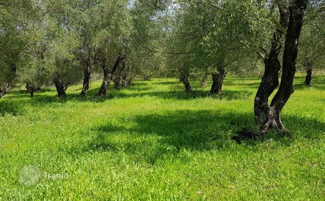Land Plot in Corfu, photo 3