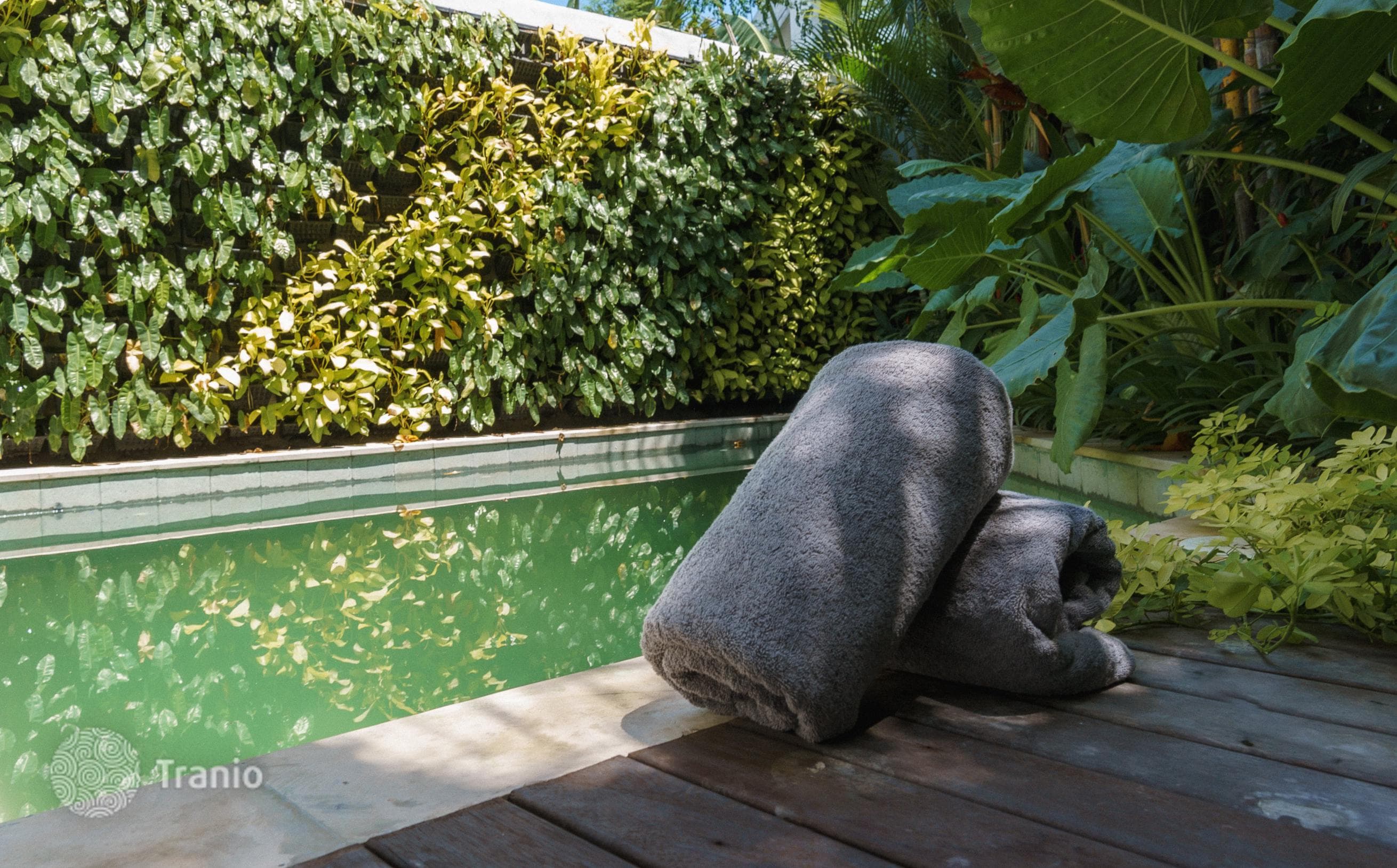 Modern Townhouses in Bali, photo 2