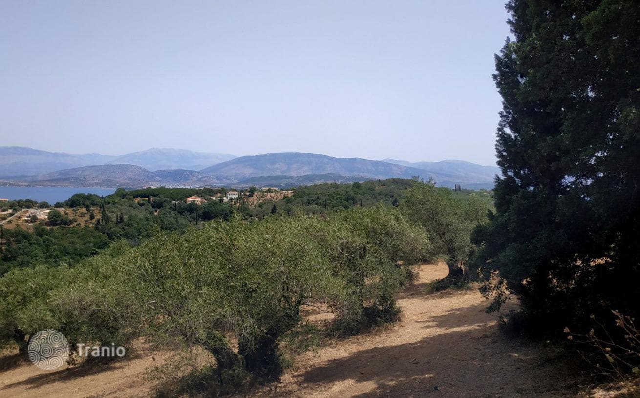 Land Plot in Sinya, Corfu, photo 4