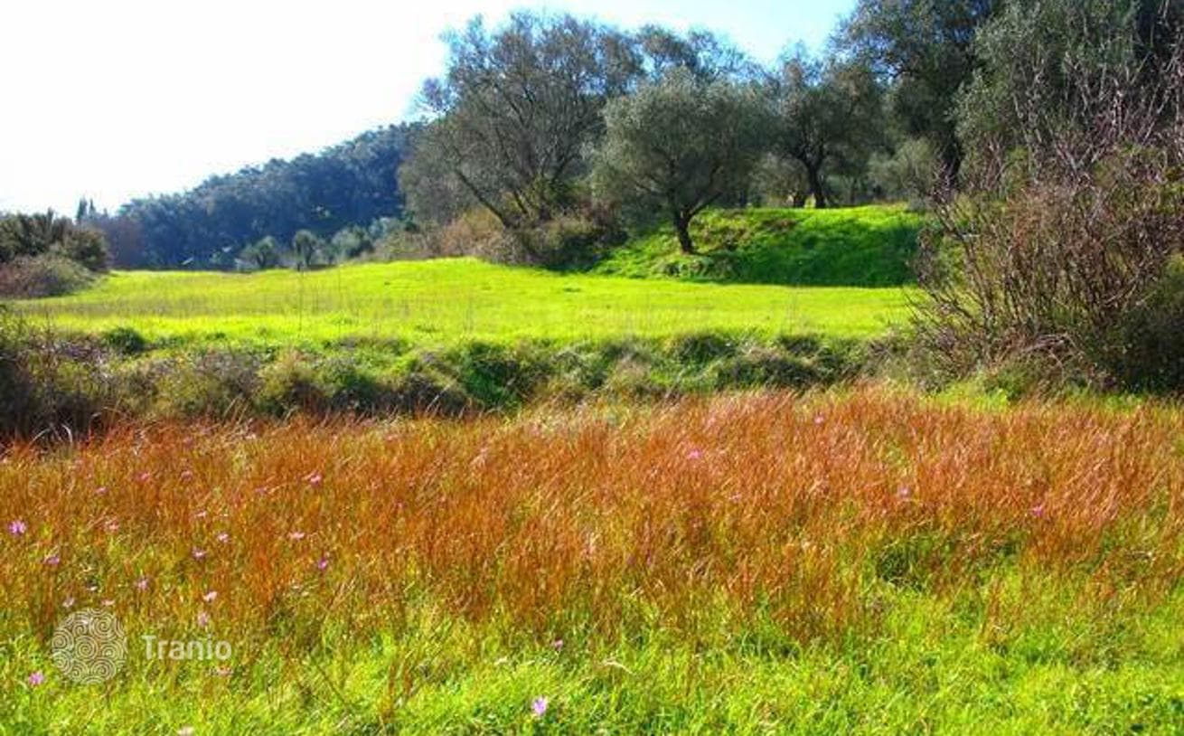 Land Plot in Velonadhes, Corfu, photo 2