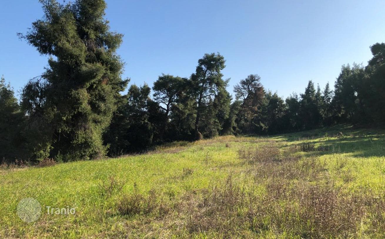 Land Plot in Kassandra, Greece, photo 2