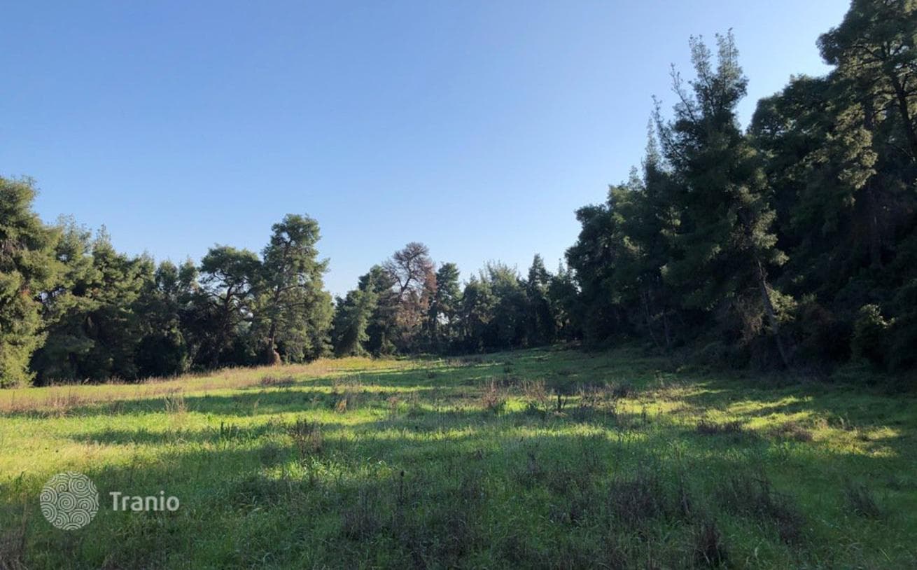 Land Plot in Kassandra, Greece, photo 5