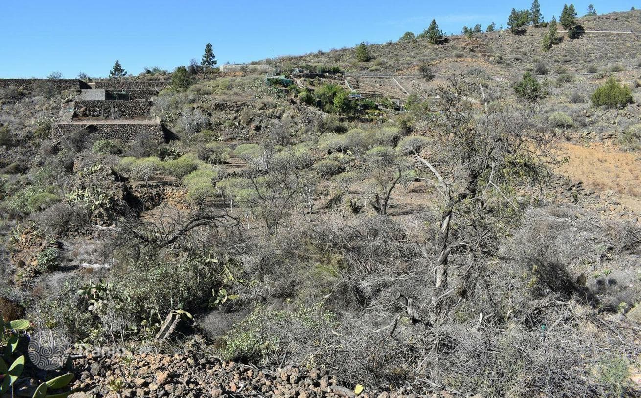 Land Plot with Ocean View in Gia de Isora, Tenerife