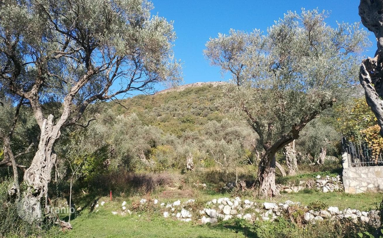 Land Plot with Sea View in Kamenovo, Budva