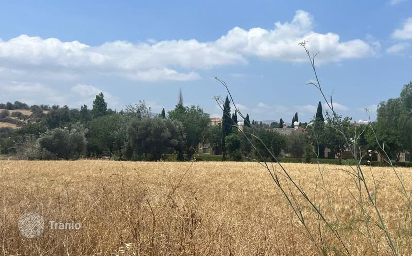 Land Plot in Polis, Cyprus, photo 3