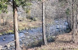 Land Plot near River in Chakvi, Batumi, photo 5