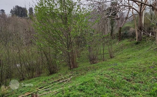 Land Plot for Cottage Development Near Batumi, photo 3