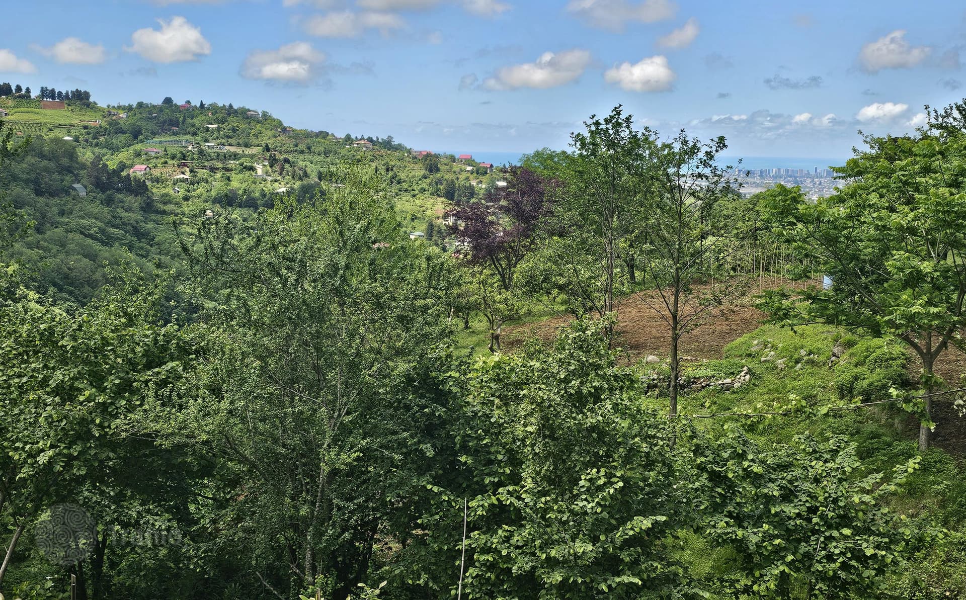 Land Plot with Sea and City Views in Maho, Batumi, photo 2