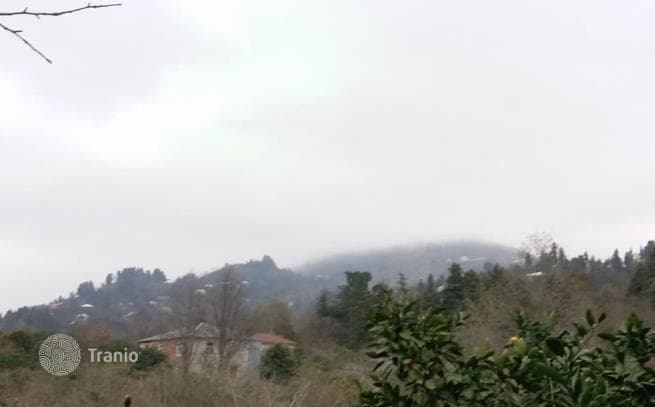 House with Garden and Sea View in Chakvi, Batumi
