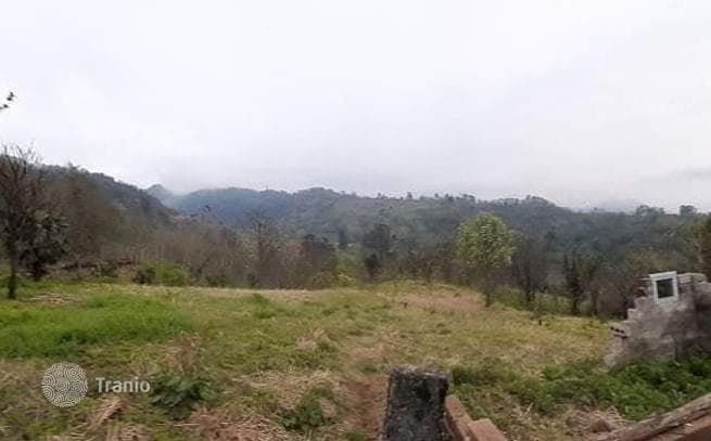Land Plot with Sea View in Kvariati, Batumi, photo 4