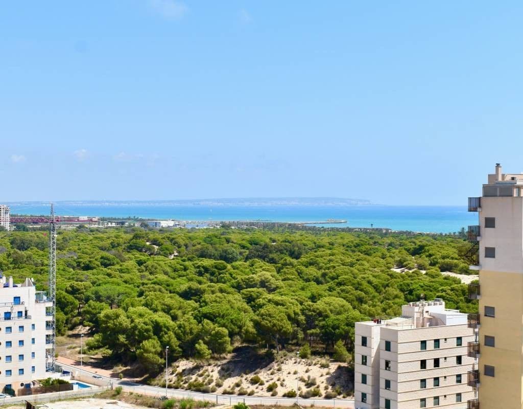 Пентхаус в Гуардамар-дель-Сегура, Испания, 83 м², фото 3
