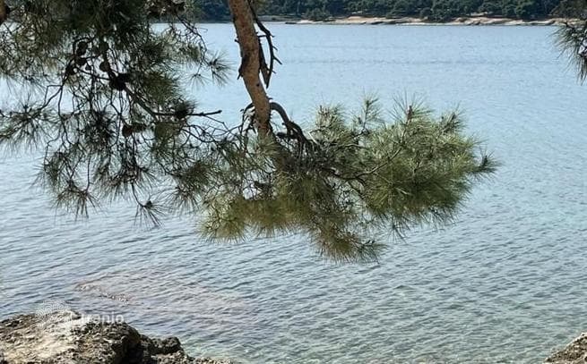 1-Bedroom Apartment in Pula, Croatia