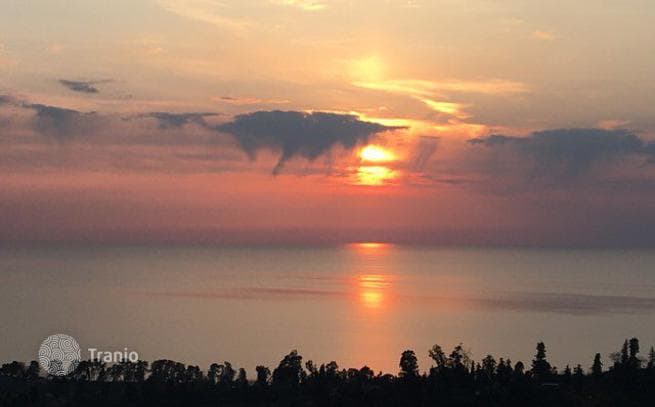 Land Plot with Sea View 4 km from Batumi, Georgia, photo 5