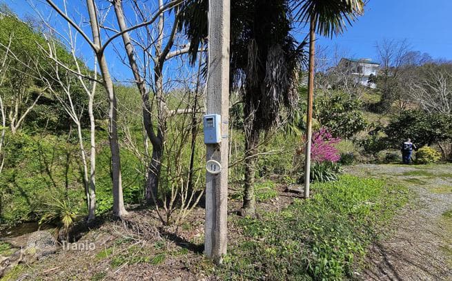 House with Large Land Plot in Makhinjauri, Batumi, photo 2