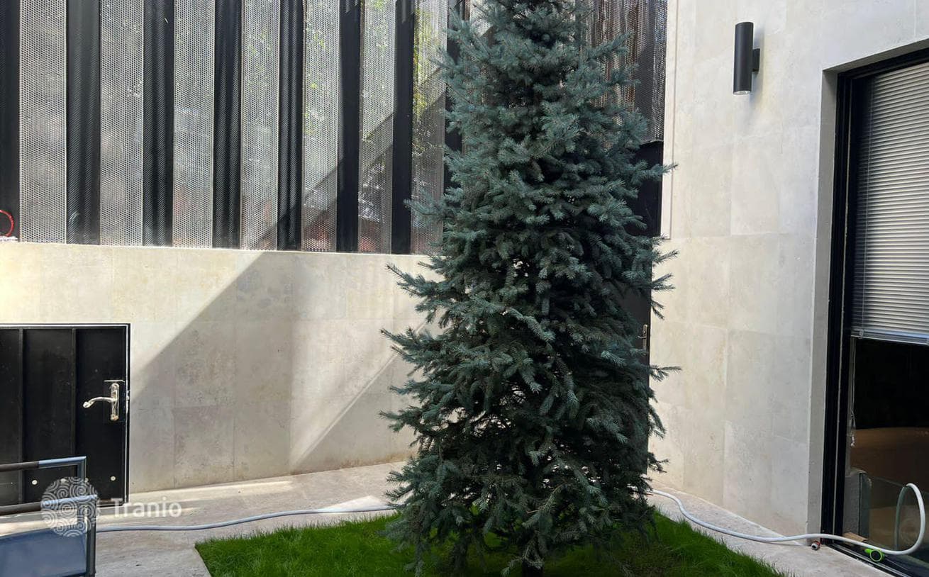 4-Bedroom House in Saburtalo, Tbilisi, photo 3
