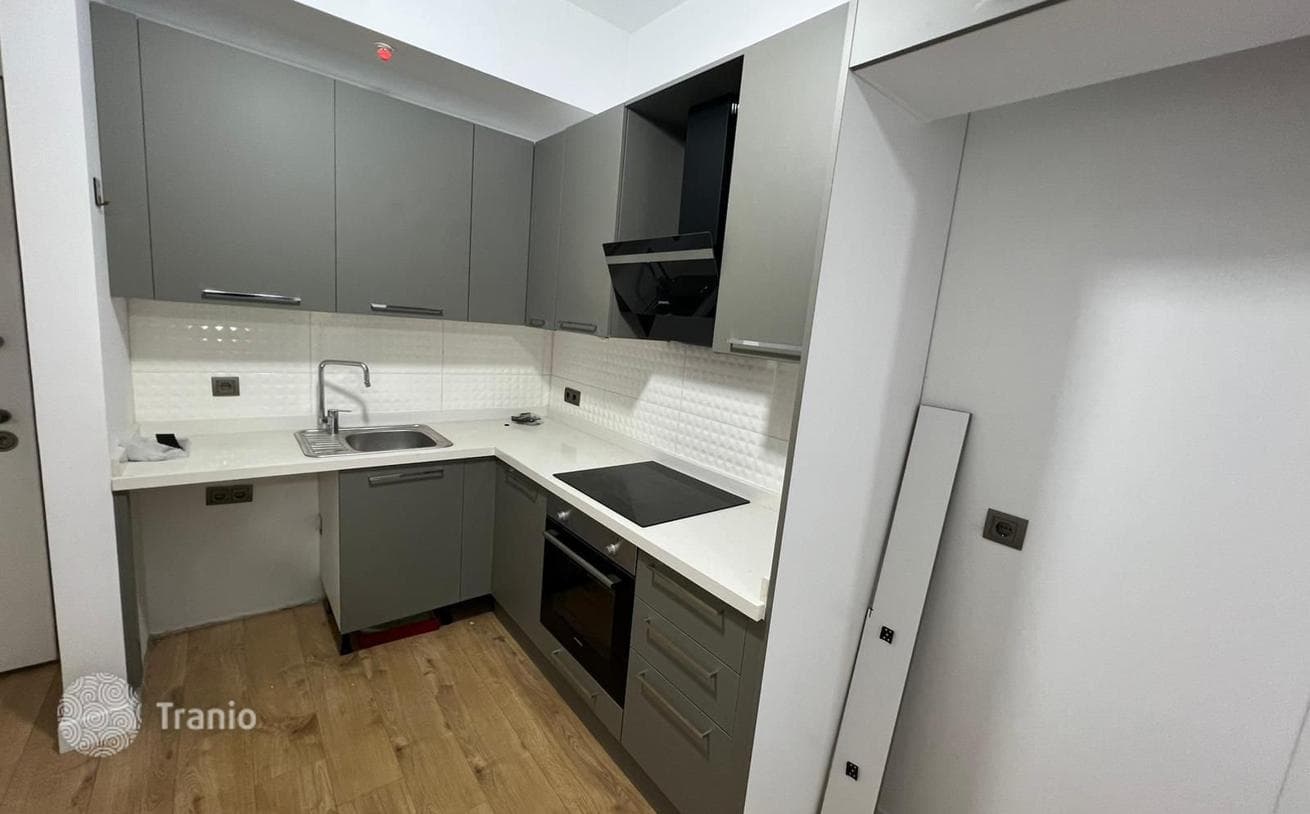 1-Bedroom Apartment in Kadikoy, Istanbul, photo 3