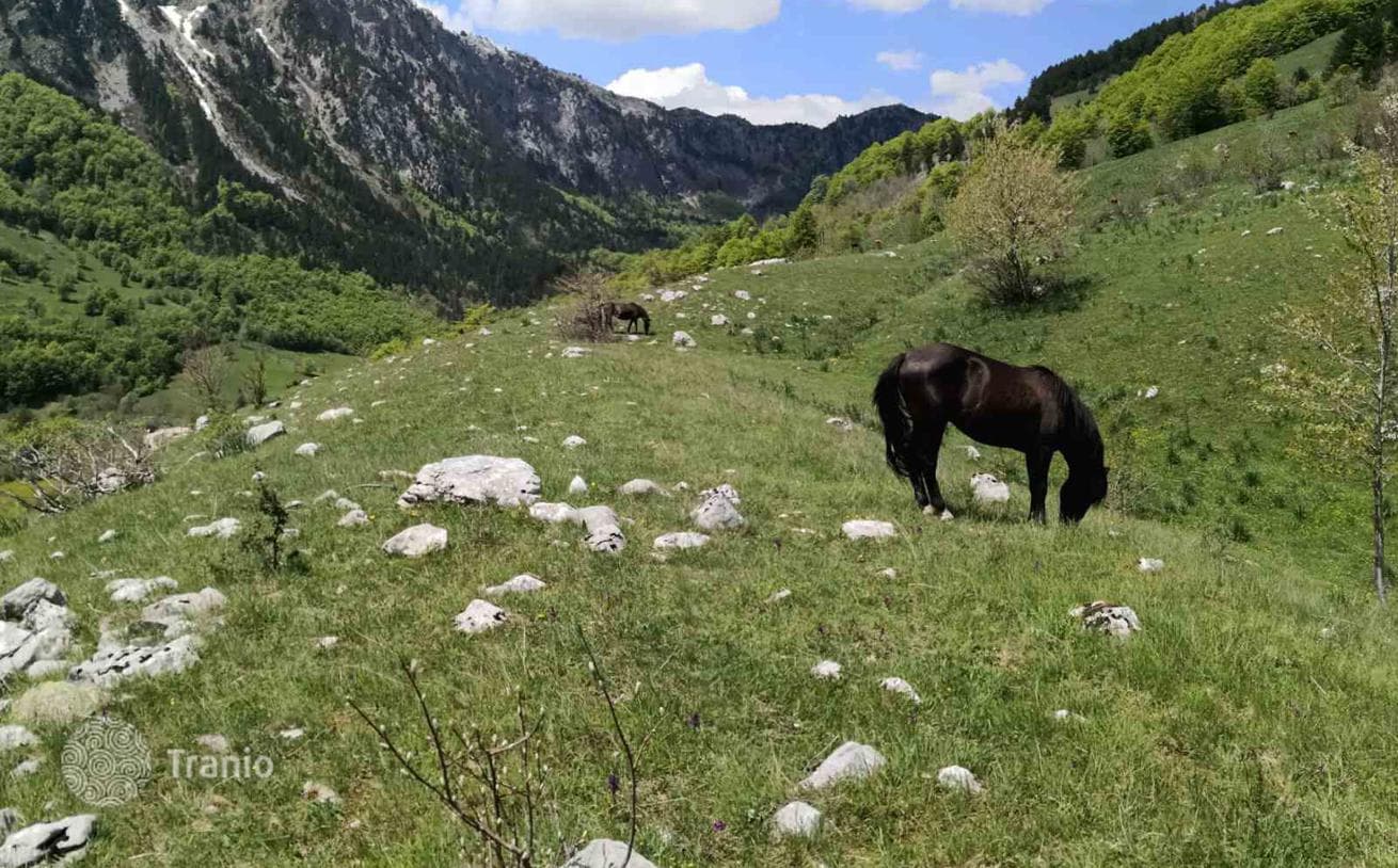 32,013 m² Land Plot for Development in Lipovo, Kolasin, photo 2