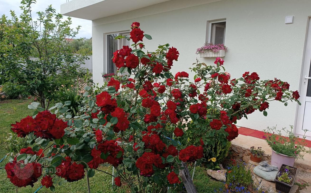 1-Story House with Landscaped Garden in Krivoice, Montenegro