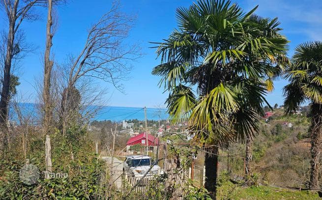 House with Sea Views and Large Land Plot in Makhinjauri, Batumi, photo 3