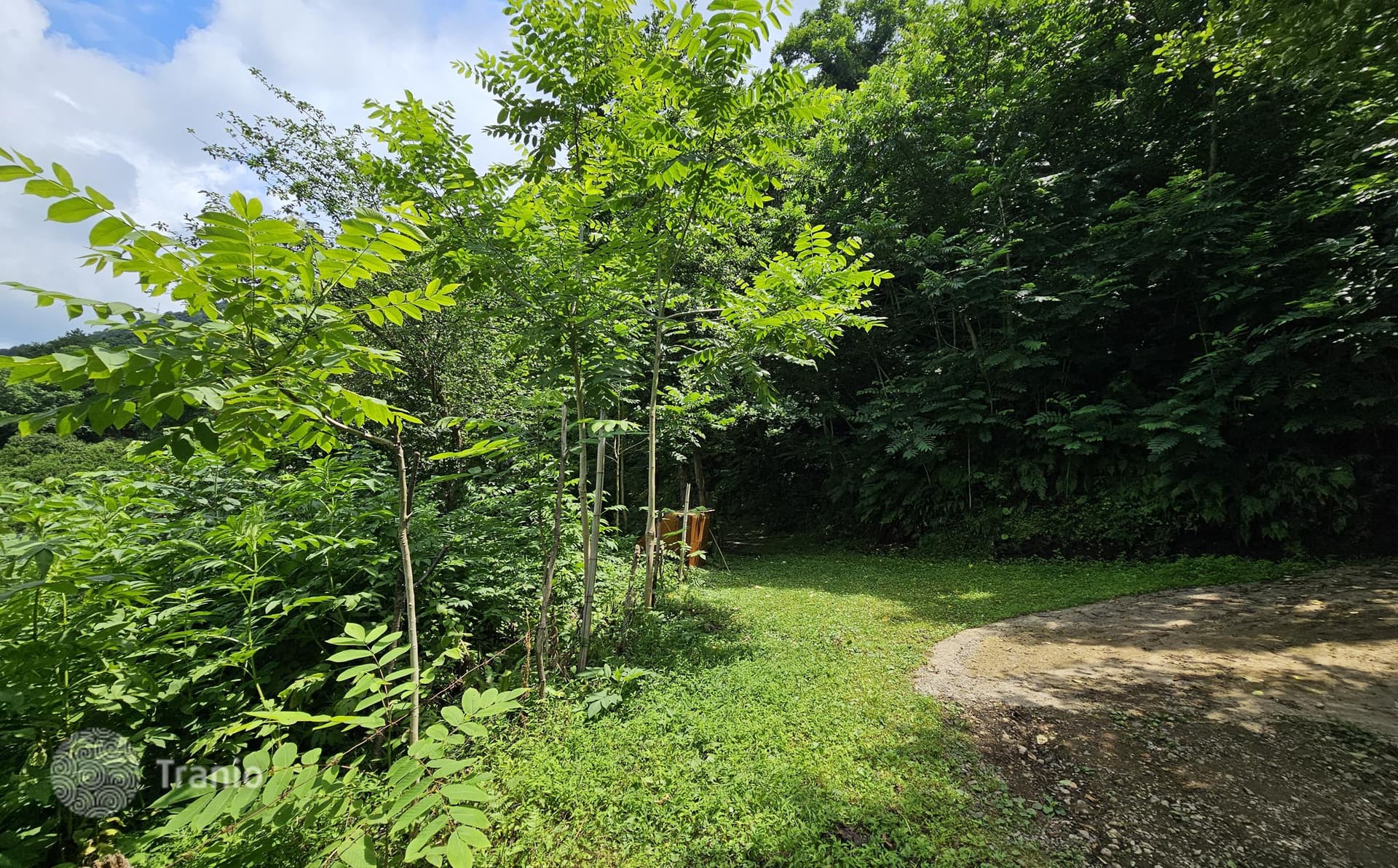 12,000 m² Land Plot with Sea View in Gantsiadi, Batumi, photo 4