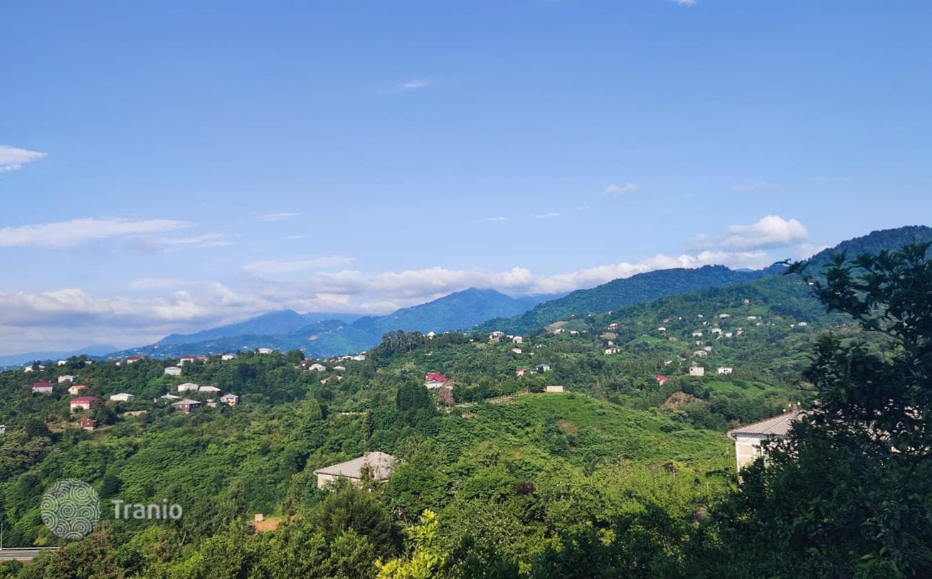 House with Fruit Garden 16 km from Batumi City Center, photo 4