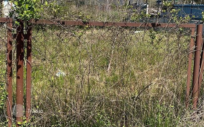 Beachfront Land Plot in Chakvi, Near Batumi