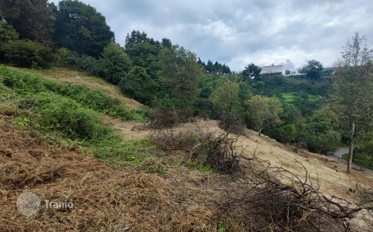 Land Plot with Sea View in Chakvi, Batumi, photo 5