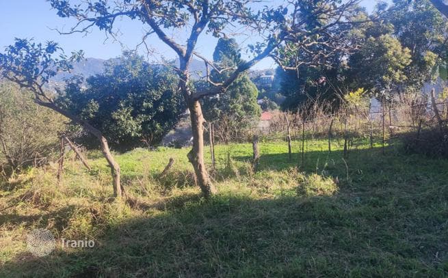 Land Plot with City, Sea and Mountain Views in Batumi, photo 5