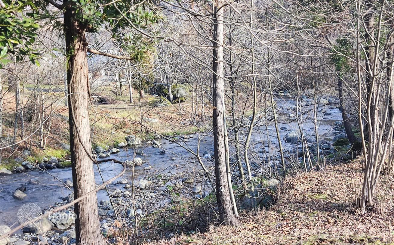 Land Plot near River in Chakvi, Batumi, photo 4