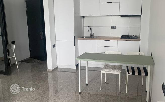 1-Bedroom Apartment with Open-Plan Kitchen and Living Room in Chakvi, Batumi, photo 2