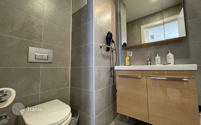 1-Bedroom Apartment in Kayithane, Istanbul, photo 3