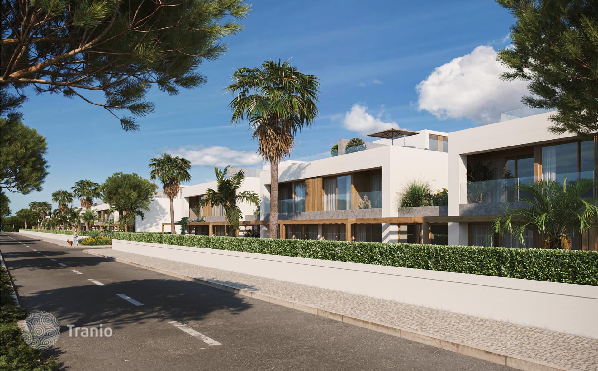 Apartment with Terrace and Pool in Setubal, Portugal, photo 4