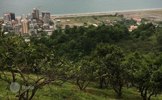 Land Plot with Panoramic Sea and Mountain Views in Batumi, photo 2