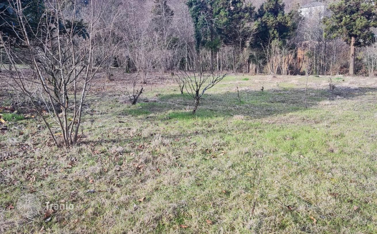 Land Plot near River in Chakvi, Batumi, photo 2