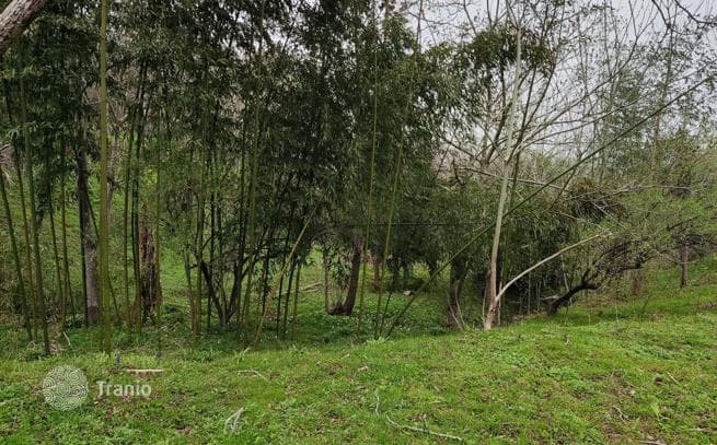 Land Plot for Cottage Development Near Batumi, photo 4